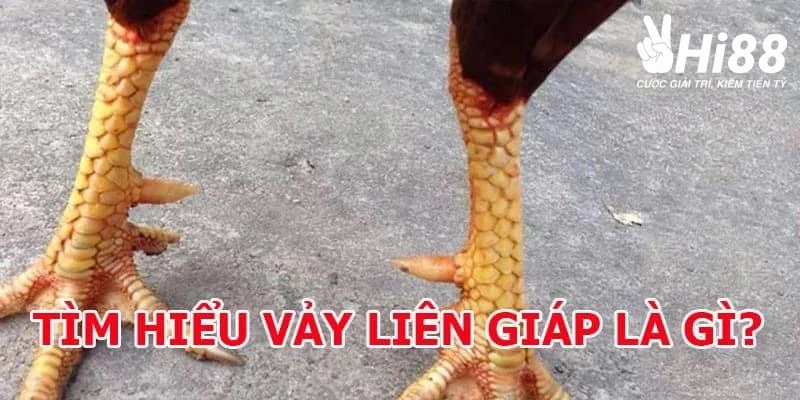 Cách nhận biết vảy liên giáp